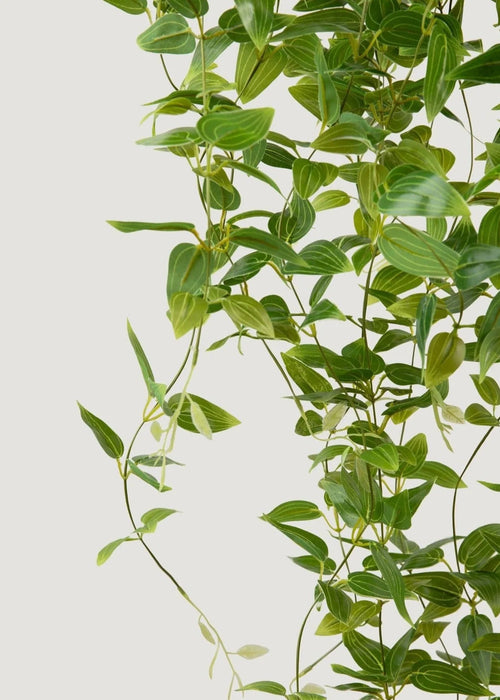 Deluxe Artificial Plants Hanging Tradescantia Houseplant- 41"